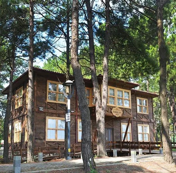 Terme Miliç Tesisleri sahili